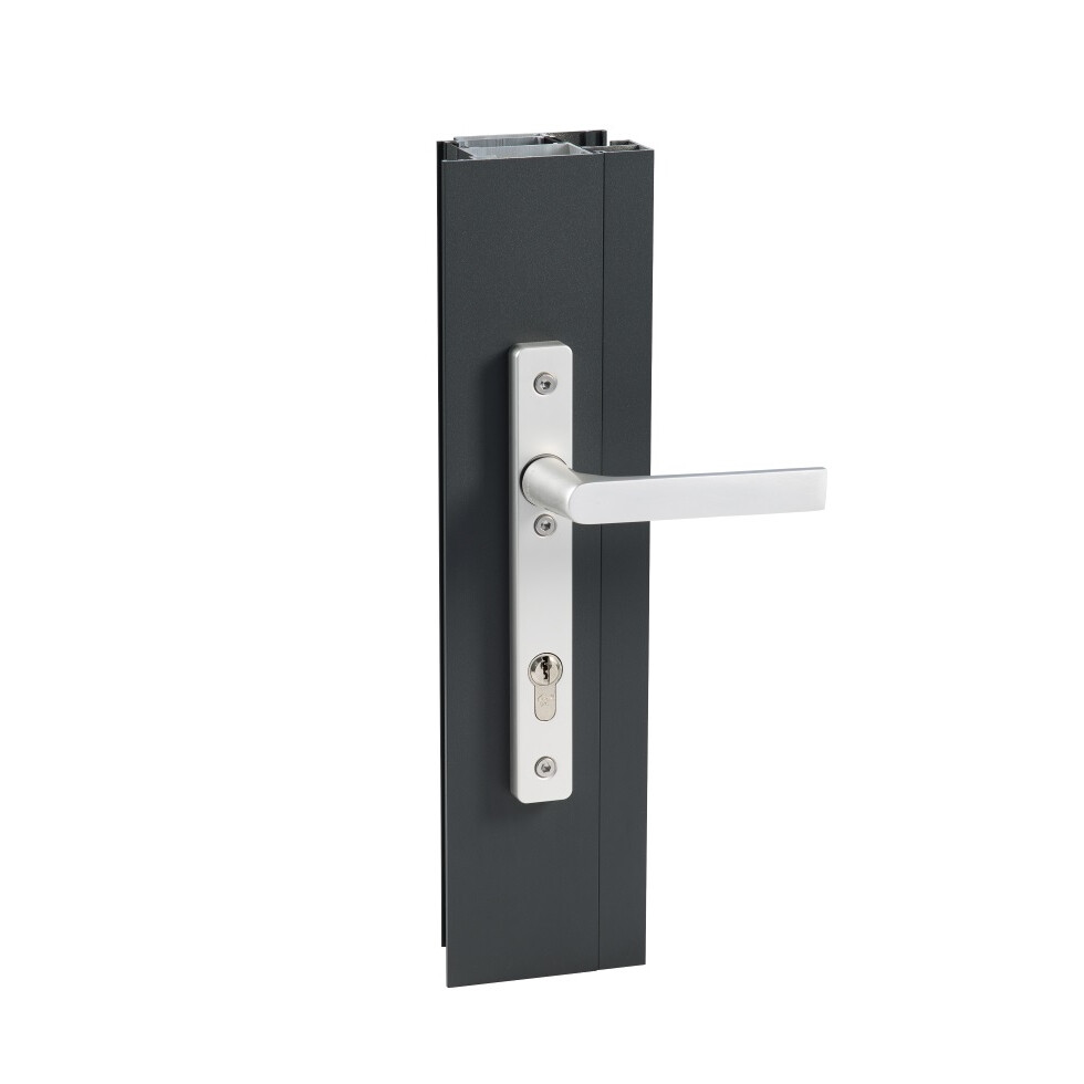 Kruk bi li/re met pz